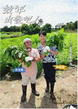 声线盲盒音乐综艺达达兔影视
