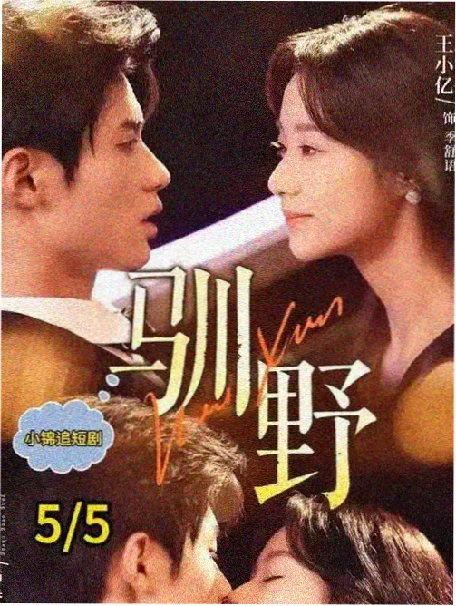 旧城灯火市井群像剧在线看